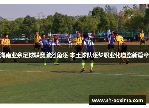 海南业余足球联赛激烈角逐 本土球队逐梦职业化道路新篇章